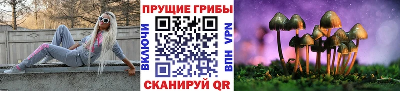 кракен ONION  где можно купить   Нефтекамск  Псилоцибиновые грибы прущие грибы 
